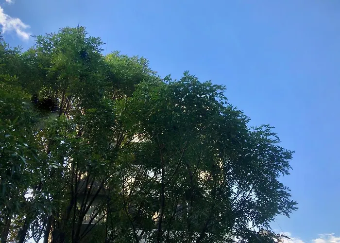 Loft Increíble En La Mejor Ubicación De La Cdmx Apartamento